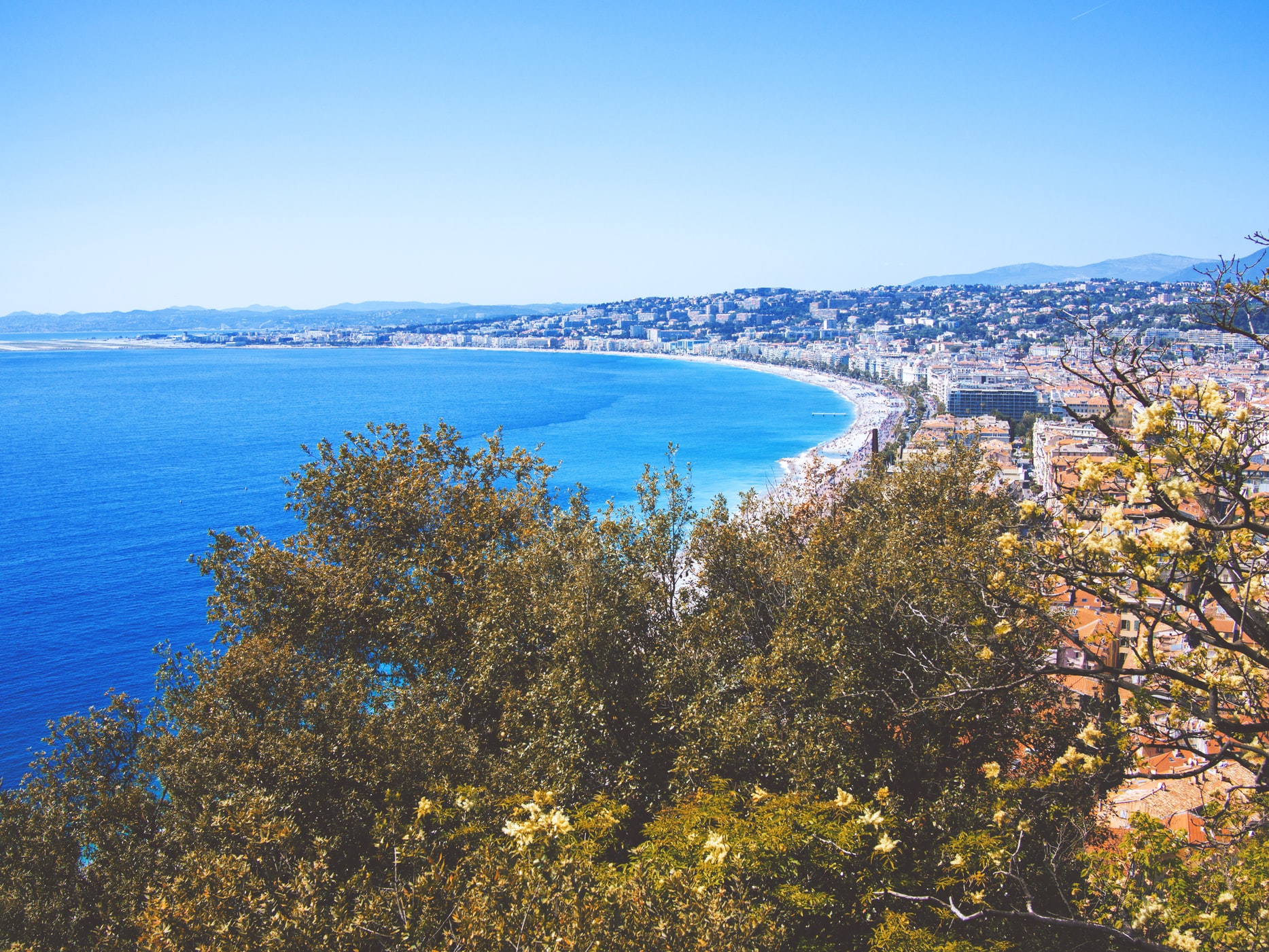 Picture of Nice Côte d'Azur Airport